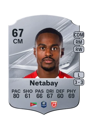 Netabay 67 CM