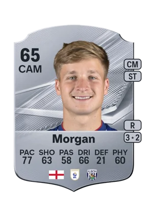 Morgan 65 CAM