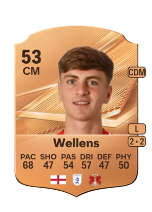 Wellens 53 CM