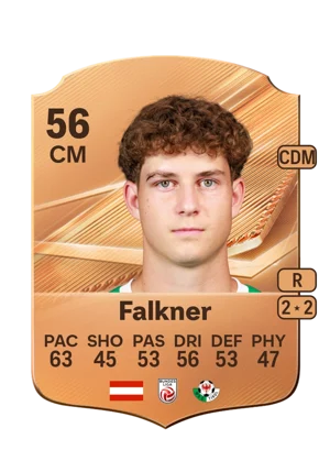 Falkner 56 CM