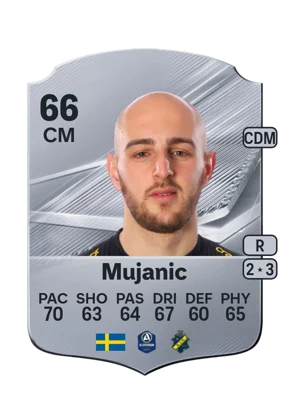Mujanic 66 CM