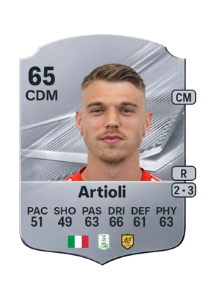 Artioli 65 CDM
