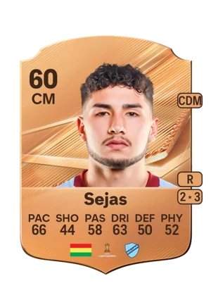 Sejas 60 CM