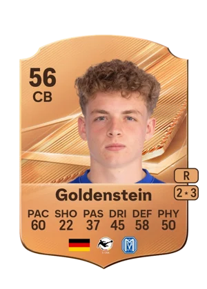 Goldenstein 56 CB