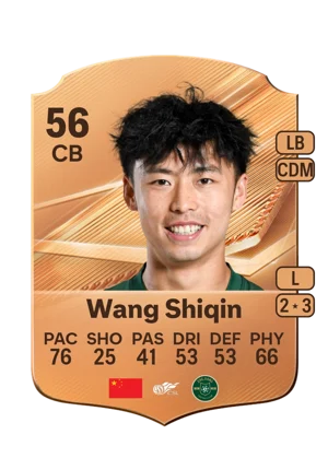 Wang Shiqin 56 CB