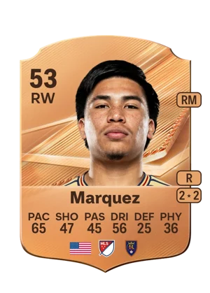 Marquez 53 RW