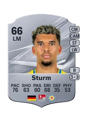 Sturm 66 LM