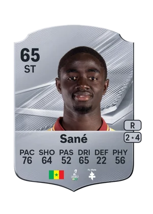 Sané 65 ST