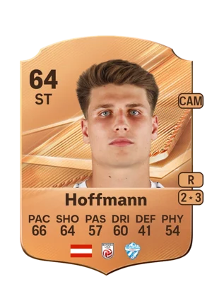 Hoffmann 64 ST