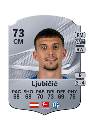 Ljubičić 73 CM