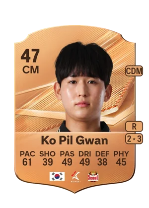 Ko Pil Gwan 47 CM