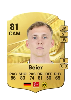 Beier 81 CAM