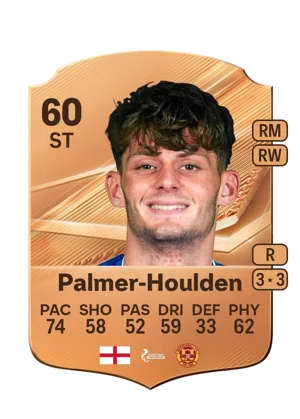 Palmer-Houlden 60 ST