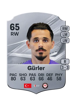 Gürler 65 RW
