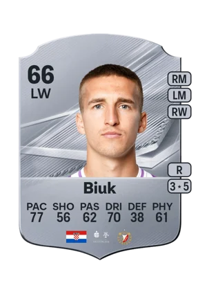 Biuk 66 LW