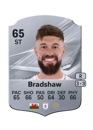 Bradshaw 65 ST