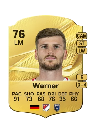 Werner 76 LM