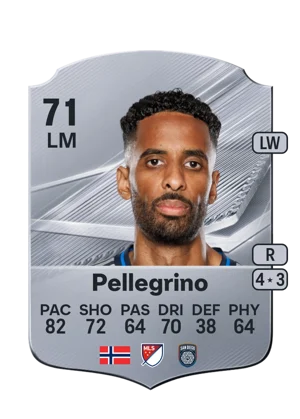 Pellegrino 71 LM