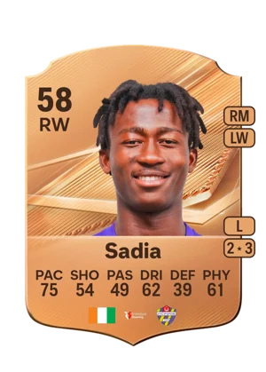 Sadia 58 RW