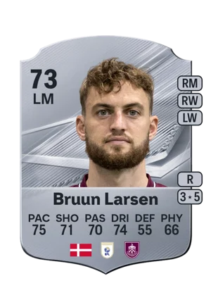 Bruun Larsen 73 LM