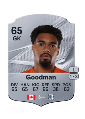 Goodman 65 GK