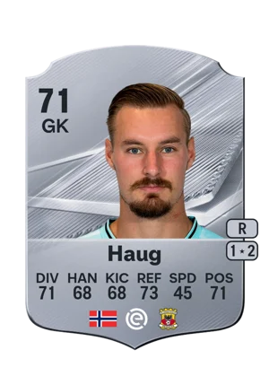 Haug 71 GK