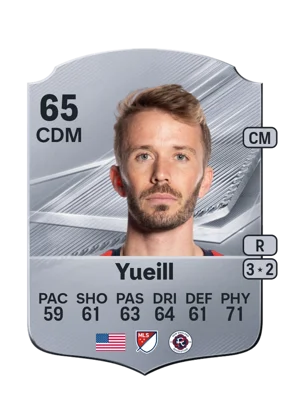 Yueill 65 CDM