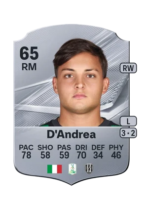 D'Andrea 65 RM