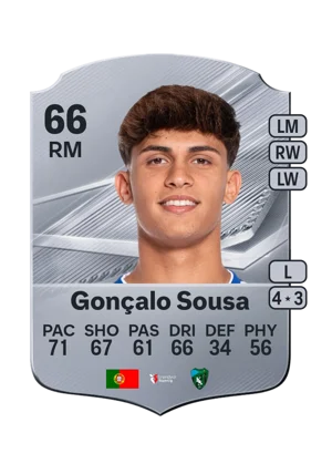 Gonçalo Sousa 66 RM