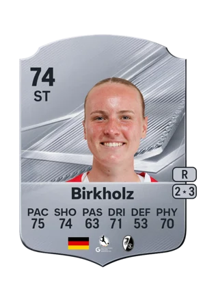 Birkholz 74 ST