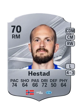 Hestad 70 RM