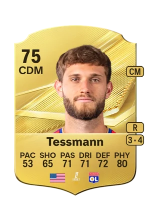 Tessmann 75 CDM