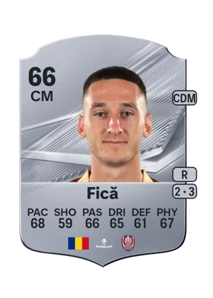 Fică 66 CM