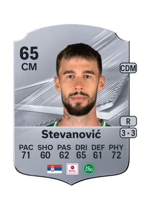 Stevanović 65 CM