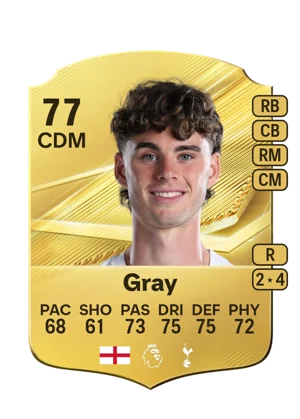 Gray 77 CDM