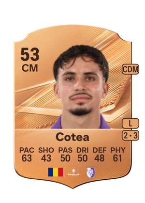 Cotea 53 CM