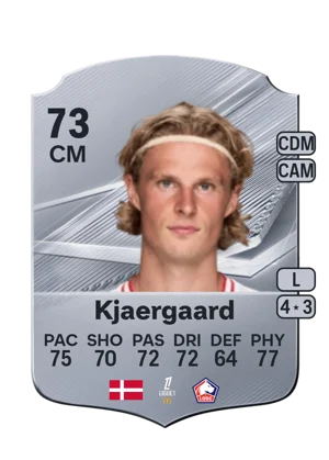 Kjaergaard 73 CM