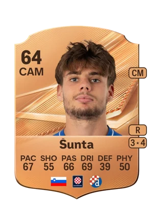 Šunta 64 CAM