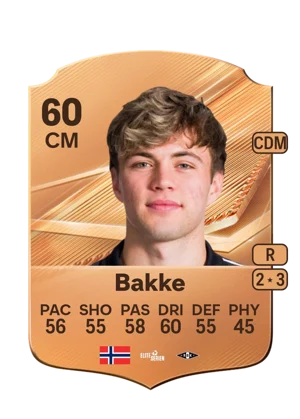 Bakke 60 CM