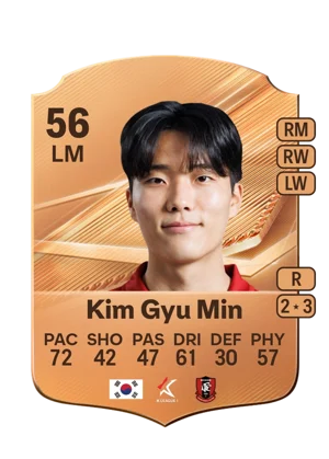 Kim Gyu Min 56 LM