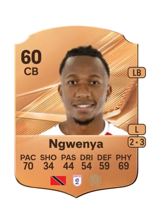 Ngwenya 60 CB