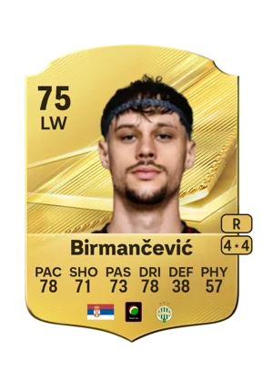 Birmančević 75 LW