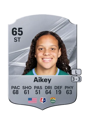 Aikey 65 ST