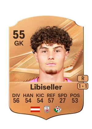 Libiseller 55 GK