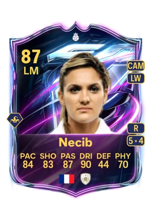 Necib 87 LM