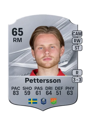 Pettersson 65 RM