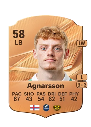 Agnarsson 58 LB