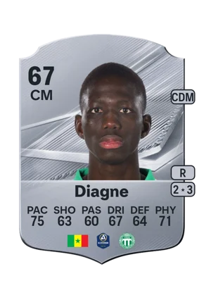 Diagne 67 CM