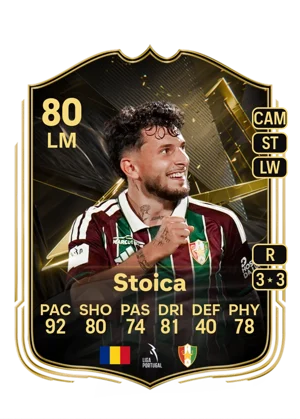 Stoica 80 LM