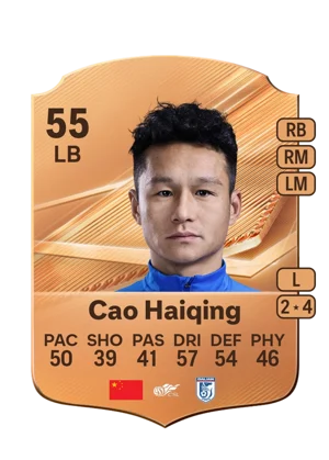 Cao Haiqing 55 LB